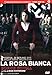 La rosa bianca - Sophie Scholl