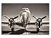 Produktbild kunst-discounter Propeller Flugzeug Silber Leinwandbilder auf Keilrahmen A06076 Wandbild Poster 90 x 60 cm