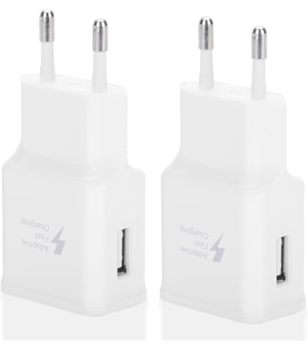 ZLONXUN Caricabatterie Caricatore 12W e Cavo USB Compatible with iPad