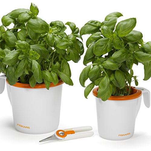 Fiskars Kräutergartenschere, Gesamtlänge 14,5 cm, Rostfreie Stahl-Klingen/Kunststoff-Griffe, Weiß/Orange, 1003481 - 5