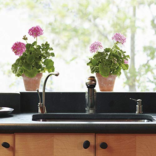 Draeger - Stickers Fenêtre HOWI034 Stickers Fleur en papier couché satiné épais 180 g