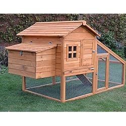 FeelGoodUK Poulailler 5 volailles, Rampe d'accès et tiroir à déjections - NCH10 L d'or