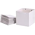 REDDOTGIFT® 10-Pack Shopping Paper Bags White Kraft Square Base Plain Paper Bags 250gsm thickness paper bags with Ribbon Handle (20x20x20cm, White)