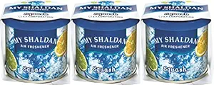 My Shaldon Squash Gel Combo(Set of 3) Air freshner for Car/Home/Office