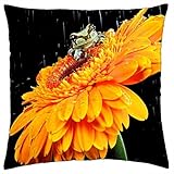 Una ducha de rana - Funda de cojín (18