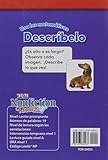 Image de USA Las Matematicas: Describelo (Use Math: Describe It) (Spanish Version) (Foundations Plus) (Time Nonfiction Readers)