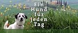 Ein Hund für jeden Tag - Immerwährender Kalender: Pecorino on Tour by