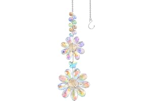HTTDSLF Acchiappasole Cristallo, Pendenti Prismi Cristallo, Suncatcher Ciondoli, Appeso Arcobaleno Prisma Finestra, Ciondolo Ornamento Sfere, per Casa Giardino Finestra