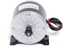 SHZICMY Motore magnetico permanente da 350 W, motore elettrico permanente (36 V)