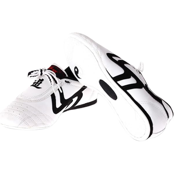 Martial Arts Shoes Taekwondo Shoes,Martial Arts Sneaker Sport