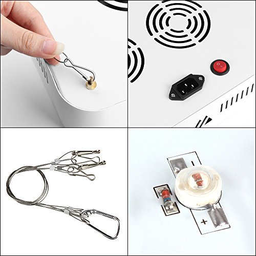 LED Grow Lampe 600W Weiß Doppel Chips Ganze Spektrum Pflanzenlampe Wachsen Lampe für Indoor Hydroponischen Garten Gewächshaus Zimmerpflanzen - 6