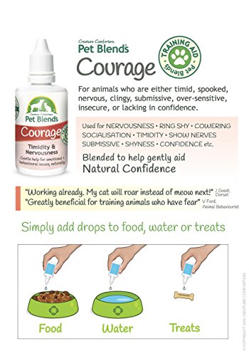 Pet-Remedy-for-Timid-Nervous-Submissive-Clingy-or-Over-sensitive-Animals-Natural-Confidence-for-Dogs-Cats-and-Horses-The-Original-Courage-Blend-Flower-Essence-50ml