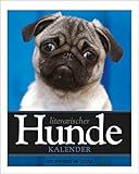 Literarischer Hunde-Kalender 2014 by 