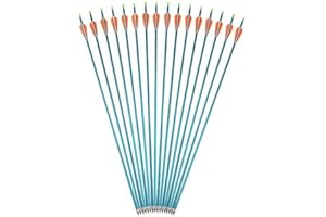 AMEYXGS Frecce in Alluminio da 31 Pollici Frecce da Caccia con Tiro con L'Arco Colonna vertebrale 500 Frecce da Addestramento al Bersaglio con Punta di Freccia a Vite per Arco Composto e Ricurvo