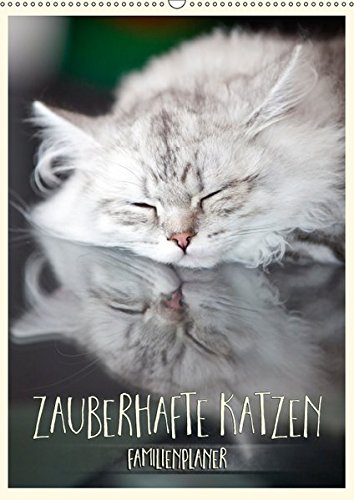 Zauberhafte Katzen - Familienplaner (Wandkalender 2017 DIN A2 hoch): Süße Samtpfoten begleiten Sie durchs Jahr (Familienplaner, 14 Seiten ) (CALVENDO Tiere)