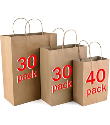10 Papiertüten Mit Henkel 22x16x8 Cm - Kraftpapier Geschenktüten Braun