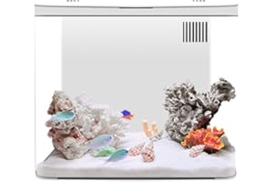 Zoegneer Acuario de pecera de escritorio para peces pequeños Betta con tanque de peces con luces LED integradas Bomba silenciosa Sistema de filtración de múltiples etapas (blanco)