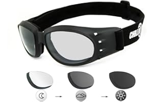 Chillout Rider® | Motorradbrille, Motorrad-Sonnenbrille, winddicht, Herren & Damen | antibeschlag, beschlagfrei, windabweisend, bruchsicher | HLT® Sicherheitsglas | Modell: CR008