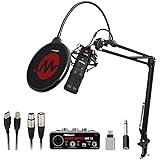 Wright WR BM 800 USB Condenser Microphone with Audio interface Mic Stand and POP Filter for Podcast and Studio Recording microphone Singing Condenser mic All Full Set Kit: 