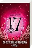 17, Das dritte Buch der Erinnerung (Die Bücher der Erinnerung, Band 3) by Rose Snow