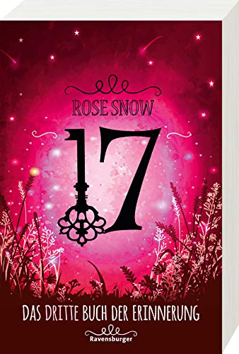 17, Das dritte Buch der Erinnerung (Die Bücher der Erinnerung, Band 3)