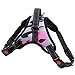 Produktbild meipire Cat Big Dog und kleine Hunde weicher Verstellbarer Geschirr Pet Große Hunde Walk Out Hundegeschirr Weste Halsband Handschlaufe S-XL