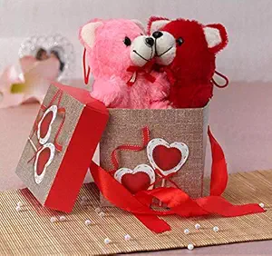 TIED RIBBONS Valentine Gifts for Girls Girlfriend Wife Her - Gift Pack (Gift Box with Ribbon, 2 Small Teddy)