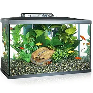 Marina LED Aquarium Kit, 10 gallon