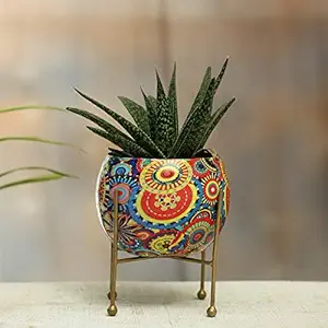 Nayi Umang Mid Century Modern Metal Glossy Finish Beautiful Rust Free (Indoor / Outdoor) 5 Decorative Plant Pot/Planter with Stand