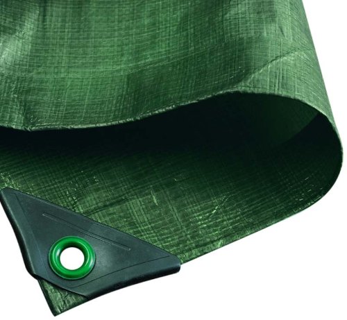 Noor 126675 - Malla Anti-heladas para invernaderos (Tela), Color Verde, 3,00 x 6,00 m