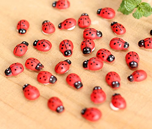 100x Da.Wa Miniature Fairy Garden Ladybugs Sticker Ornament Home Decoration Outdoor reviews 100x Da.Wa Miniature Fairy Garden Ladybugs Sticker Ornament Home Decoration Outdoor