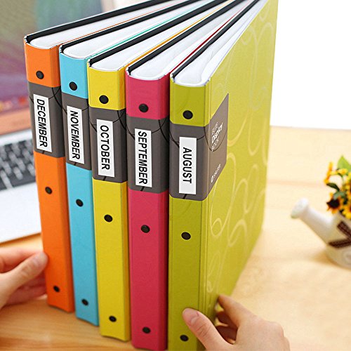 coLorty 3PK TZe-231 Cintas de Etiquetas Laminada Estand  r Negro Sobre Blanco 12mm x 8m Compatible con Brother P-Touch Impresora Adecuado para 1000 1010 1080 1090 1200 1200P 1230PC 1250 1280 1290 1750 1800 1850 200 220 2400 2450 2460 2470 2480 300 310 340 350 3600 540 550 900 9400 9600