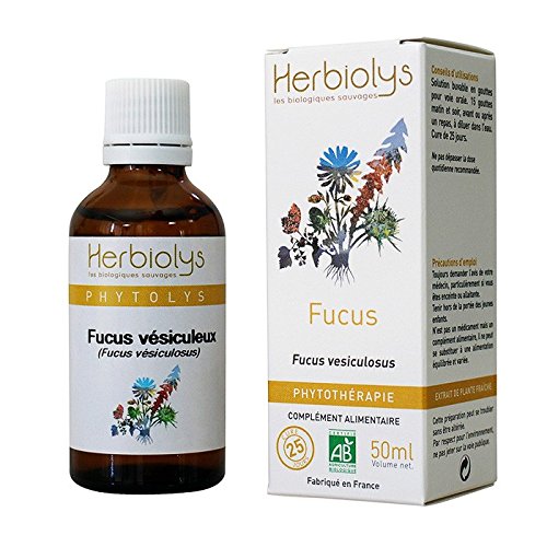 Preisvergleich Produktbild Blasentang Bio – Phyto – herbiolys