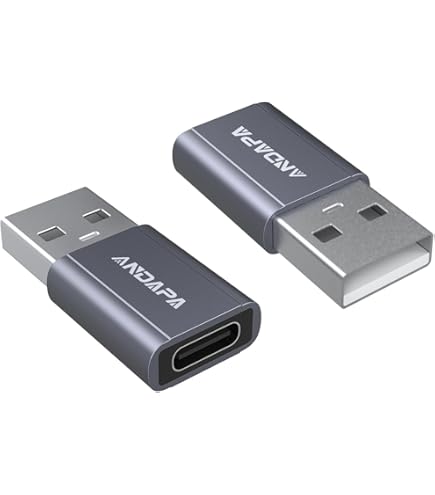 DeleyCON Adaptateur USB C USB 3.0 (2 Pièces) 5Gbit/s C Vers A, Pour Câble De Charge Câble De Données, Pour IPhone 17 16 15, IPad, Airpods, Watch, Galaxy S25/S24, PC, Tablet, Notebook
