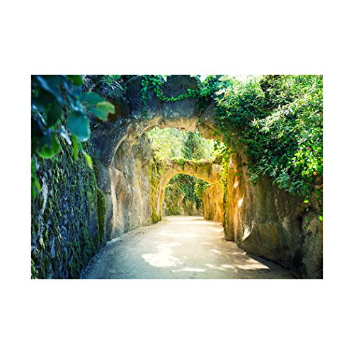 Fototapete Wald 3D 400×280 cm XXL | KOMPLETT SET MIT KLEISTER – PREMIUM VLIES TAPETE – PROFI QUALITÄT (Keine Papiertapete, keine Blasenbildung) – Top moderne Wanddeko – Fototapete 3D Illusion – Riesen Wandbild – Top Design Tapete – Neue exklusvie Edition mit noch besser Druckauflösung – Deutsches Premium Vlies (Kein Import Vlies oder PVC), Schlafzimmer, Wohnzimmer, Kinderzimmer geeignet | Fototapeten Wandtapete FOB0065a84XL - 2