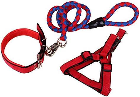 Xfay Pet Dog Harness/Three-piece 610 Pet Safety Collar/Duty Pet Dog Basic Lead Leash nylon Webbing for Puppy Small Medium Large Dogs -XS-6