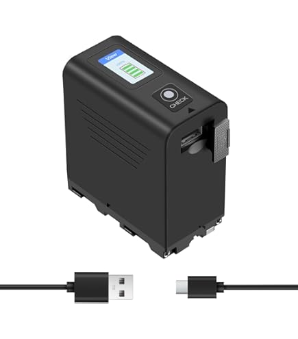 DSTE NP-F970 Camera Battery (2-pack) And Charger Compatible With Sony