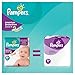 Pampers Active Fit Size 4+ (Maxi+) Monthly Pack - 140 Nappies