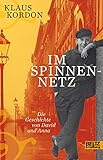 Im Spinnennetz: Die Geschichte von David und Anna. Roman by 