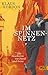 Im Spinnennetz: Die Geschichte von David und Anna. Roman by 