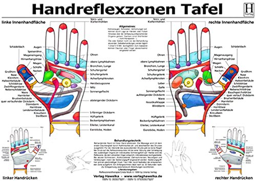 Download Handreflexzonen Tafel Pdf Leeannmadeline
