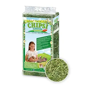 Alfalfa Hay 1000g, Dried Natural Alfalfa Hay for Rabbits, Guinea Pigs, Chinchillas, and Ferrets - Protein and Fiber Rich Food