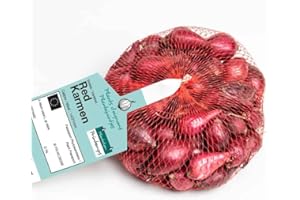 DEBAERE Red karmen (rouge) Bulbes d'Oignons a repiquer 500gr