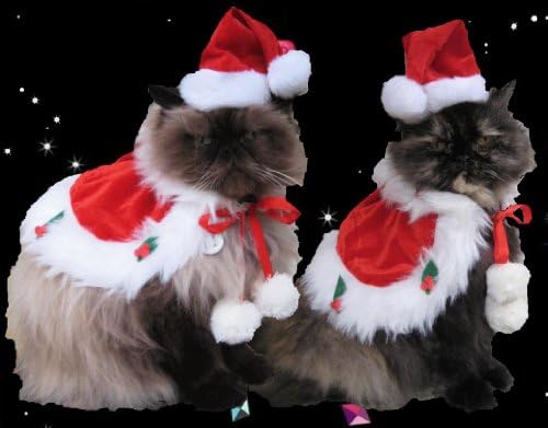 Jolly St. Nick holiday cape and Santa hat