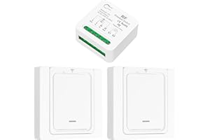 Tedeligo Interruptor inalambrico, Emisor De Radio Móvil Y Emisor De Pared 2 En 1, Mini Receptor Funciona Con Interruptor De Panel De Pared, Para Lámparas De Hasta 220V 3500W(2interruptor 1receptor)