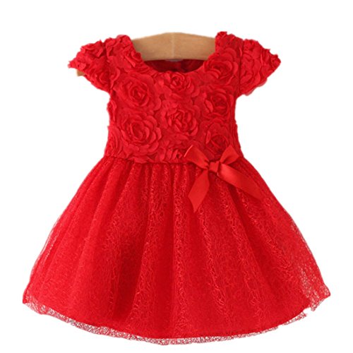 iiniim Baby Girl's Rose Flower Wedding Princess Dress Kids Formal Pageant Christening Dresses Red 9-12 Months