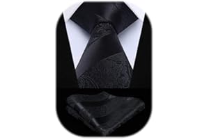 HISDERN Corbata Hombre Extralargas de Cachemira Flores Corbatas y Pañuelo de Bolsillo para Boda La Fiesta Formales