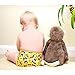 Bambino Mio Miosoft Reusable Nappy Birth to Potty Pack (2 Pieces, Unisex)