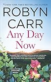 Cover zum Buch Any Day Now