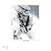 Produktbild Star Wars Sturmtruppler Leinwand Bilder (PPD1930O1FW) - Wallsticker Warehouse - Size O1 - 100cm x 75cm - 230g/m2 Canvas - 1 Piece